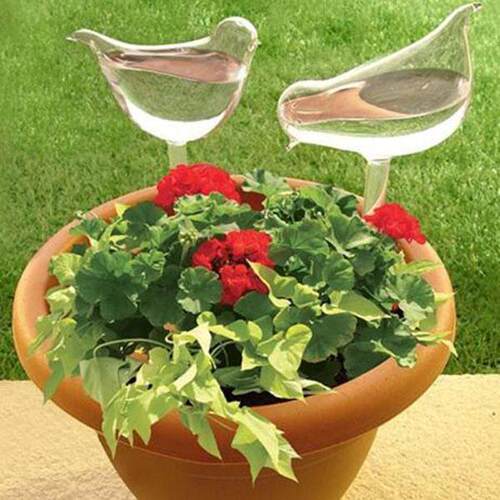 跨境新品Self-Watering Plant Glass Bulbs园艺工具小鸟浇花器