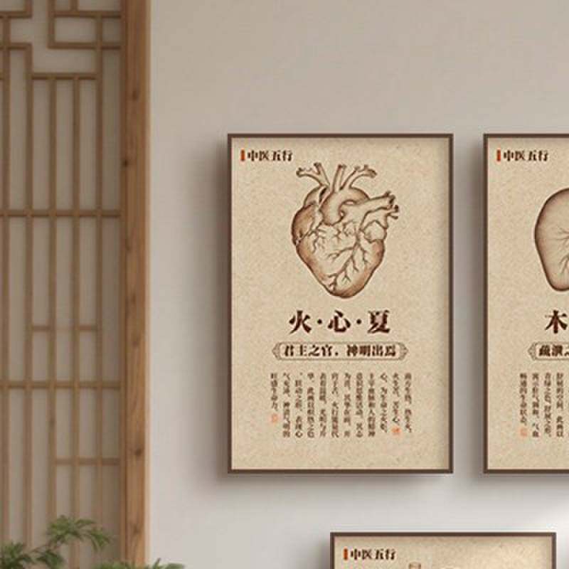 中医馆装饰挂画五行养生图人体五脏四季养生氛围布置中医文化墙