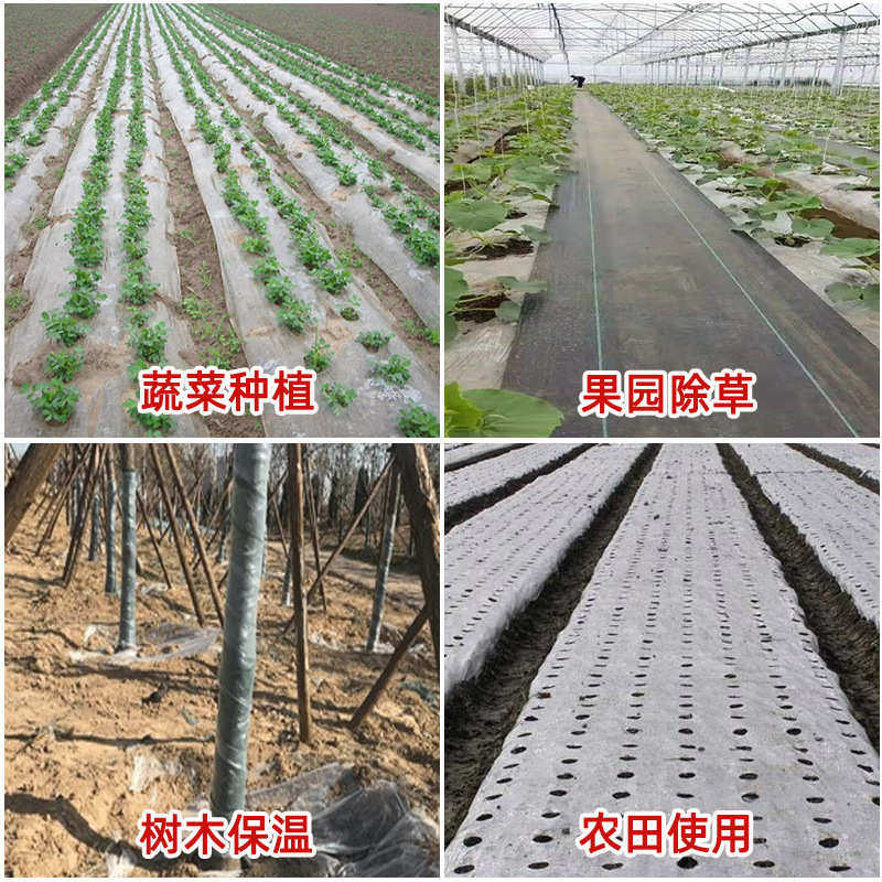 农用白色地膜耐用厚保温保湿大棚小拱塑料薄膜蔬菜白地膜种菜专用,农机/农具/农膜,农用薄膜,淘宝优惠券,粉丝福利购,淘宝优惠卷