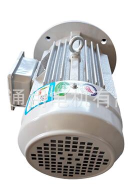 6极三相异步电动机YE3-80M1/M2-6电机0.37W/0.55W380V马达