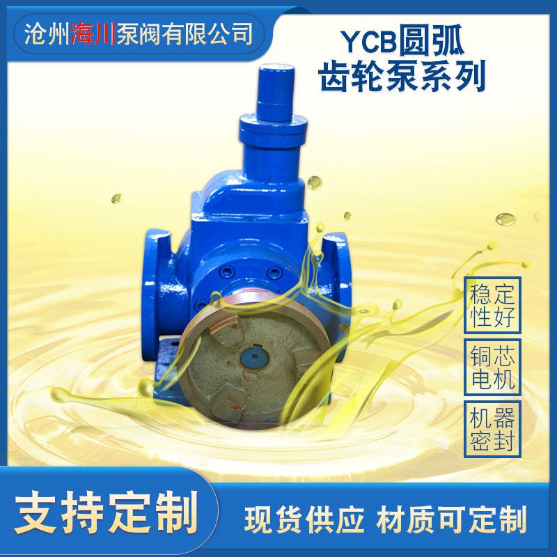 YCB6/0.6圆弧齿轮油泵润滑油泵抽油泵齿轮泵输油泵自吸泵