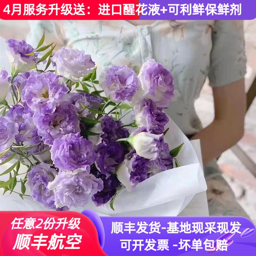 鲜花洋桔梗烟灰紫云南斗南基地鲜切花批 发直批洋橘梗家用水养紫
