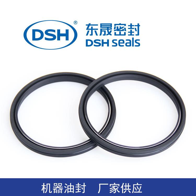 车TC油 东晟液压机器机械C型全聚封汽丁晴胶氟橡胶TC油封标准货