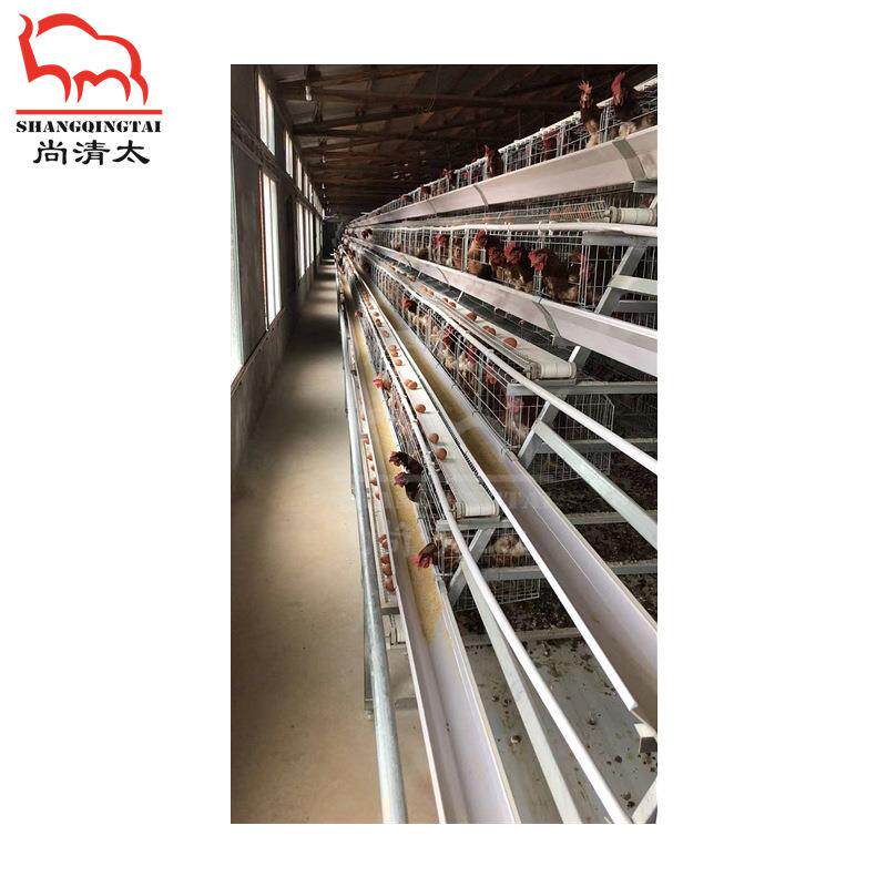 A型蛋鸡全自动笼养系统 养鸡鸡笼 养鸡笼子 畜牧养殖设备