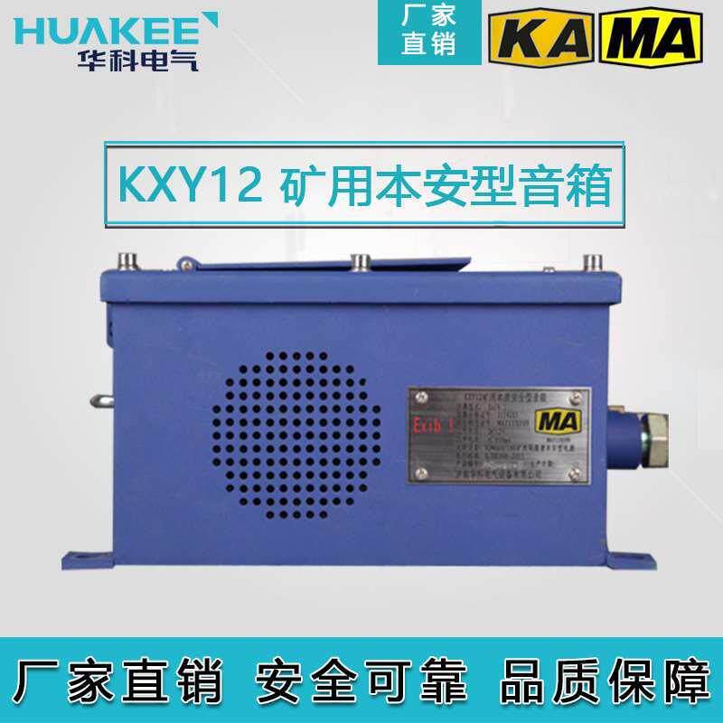 厂家供应KXY12数字IP网络防爆音箱煤矿本安型广播矿用防爆音箱