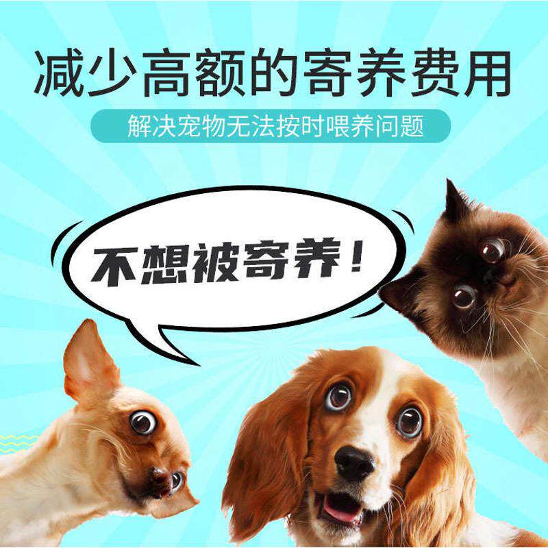 狗狗定时挂智能自动式喂食器批发笼水器式食器定量现货喂挂宠物饮
