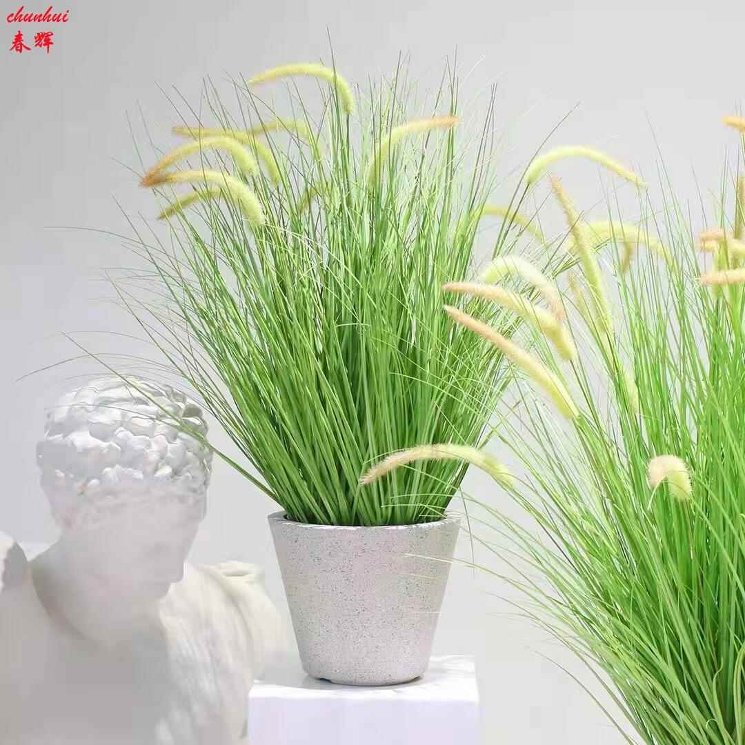仿真芦苇蒲苇草盆栽 婚庆家居装饰摆件狗尾巴草仿真干花落地摆件
