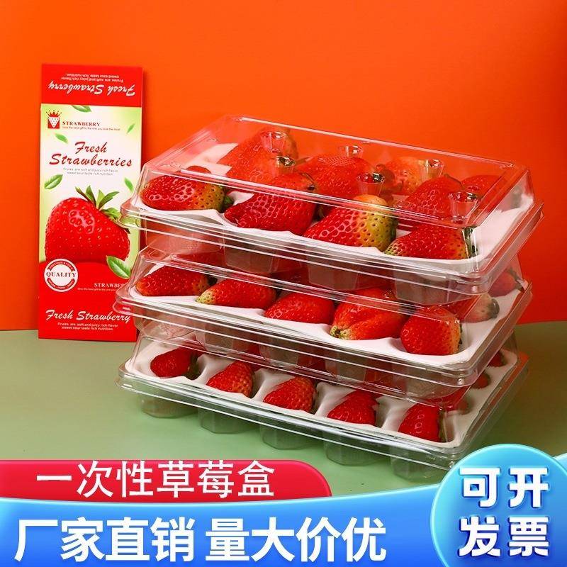 草莓包装盒一次性透明塑料带内托防震抗压透气11粒15粒20粒送腰封