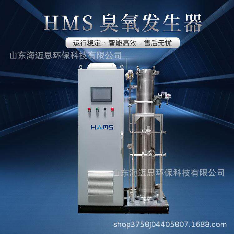 海迈思HMS氧气源臭氧发生器水厂消毒设备水处理厂家杀菌
