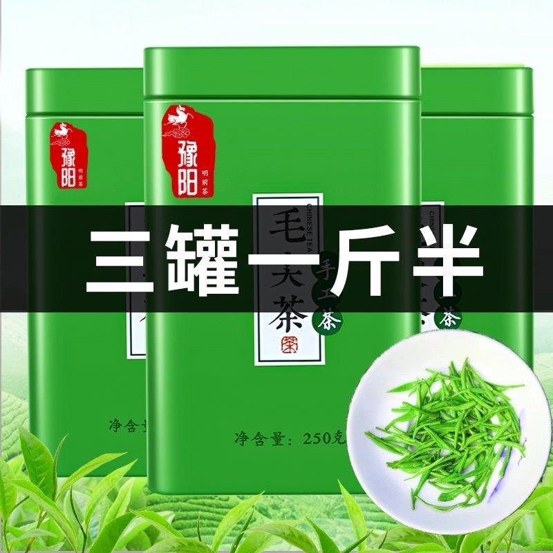 买一斤送半斤2026新茶信阳毛尖茶叶绿茶浓香耐泡型炒青茶散装750g