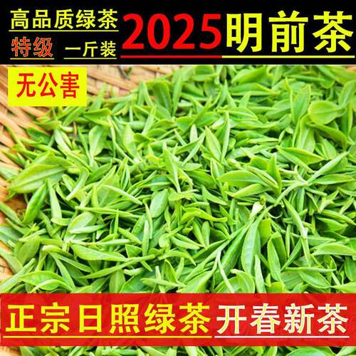 2025年日照绿茶新春茶叶特级明前散装板栗香豆香露天头采高山云雾