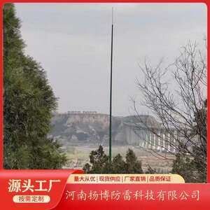 古树防雷防侧闪避雷针 复合绝缘古树避雷针 高度10-30米按需配置