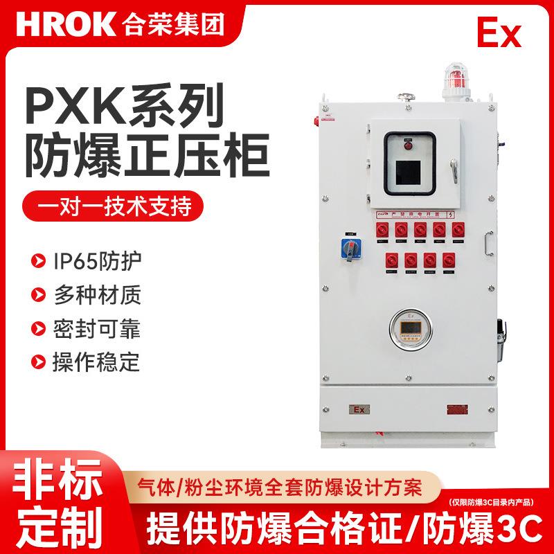 防爆配电柜防爆PX定作不锈钢设备防尘IIC级控制箱仪表盘电气成套