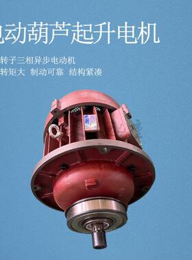 ZD1系列锥形转子电机纯铜线端盖刹车锅0.8/1.5/.0/4.5/7.5kw