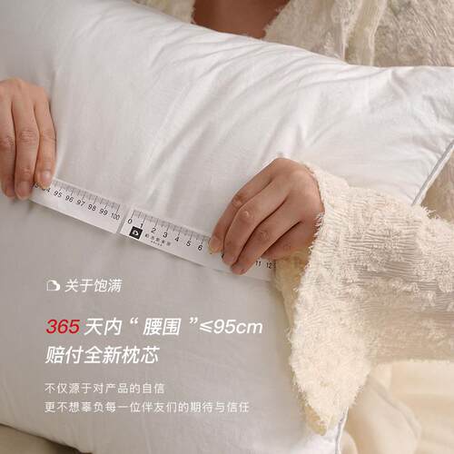 V45O代酒店发家用鹅F77J858H毛芯沙抱现枕芯羽绒芯内胆羽枕丝绒靠