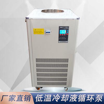 厂家dlsb5205L实验室5升恒温水浴低仪器设备冷却液循环泵