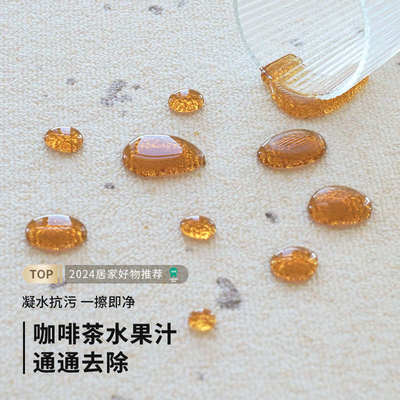 地毯客厅现代简约2025新款卧室免打理免洗可擦轻奢高级感沙发地垫