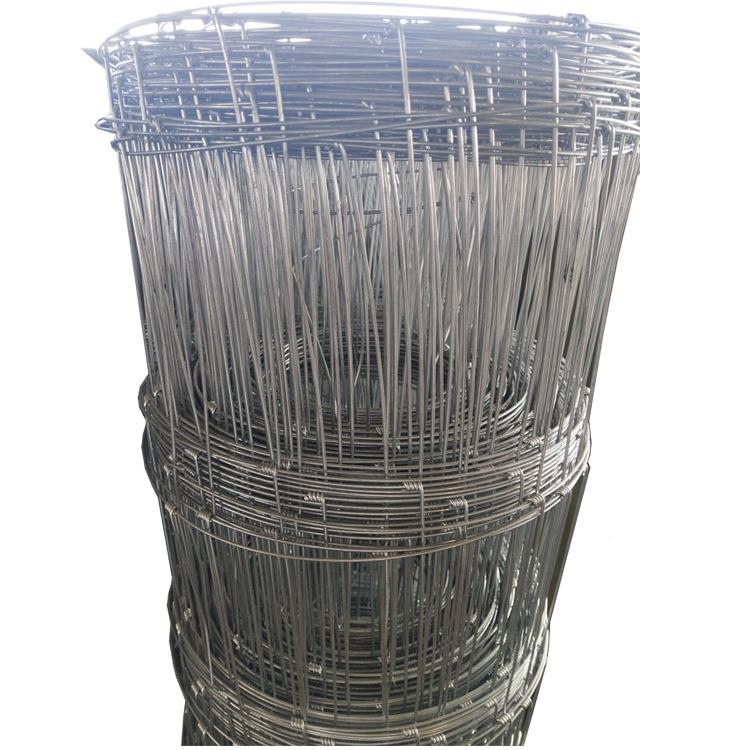 供应编栏草原牛网热镀织锌牛 栏网