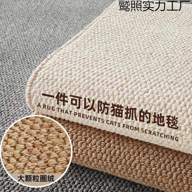 菠萝圈地毯仿剑麻卧室客厅飘窗新款卫生间地垫猫猫针织耐磨毯