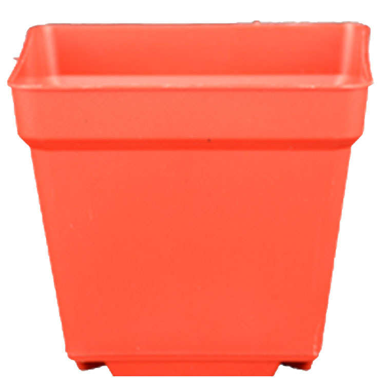 方型营养杯塑料花盆钵盆栽花卉基地多肉育苗培植黑红色[厂价直供]