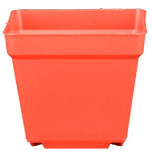 方型营养杯塑料花盆钵盆栽花卉基地多肉育苗培植黑红色[厂价直供]