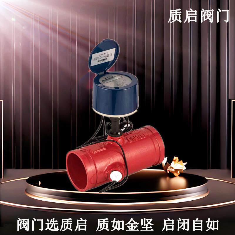 泉州质启沟槽式流量开关LLKG-16Q沟槽流量开关沟槽水工业控制阀65
