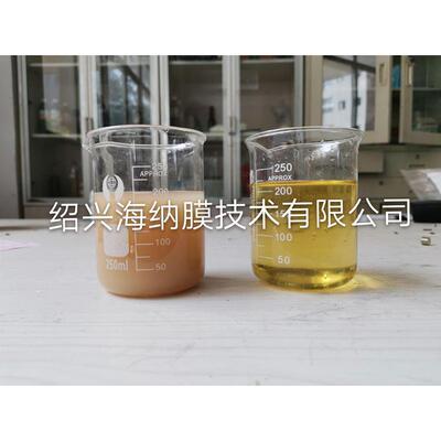 蓝机莓酒桑葚酒除杂澄去沉淀膜过滤错流清CML-6-10膜过滤器