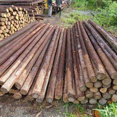 带皮山木桩河岸护坡松木打桩木土建地基加固木桩园林生态围栏木桩