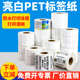 恒奥亮白PET标签综合40 纸电子定制 100宽不干胶防水油耐高温条码