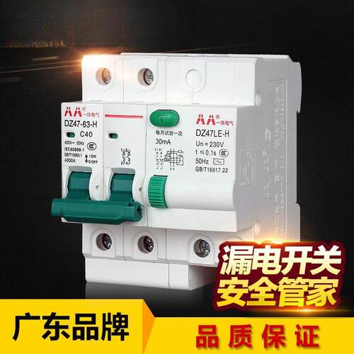 漏电开关断路器窄体2P双断家用保护器总闸2P63A漏保防雷充电厂家
