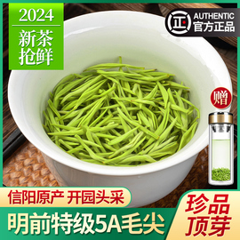 珍品毛尖茶叶2024新茶，信阳绿茶明前5a特级嫩芽浓香型春茶散装500g