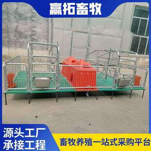 母猪产床畜牧养殖产保两用仔猪产床母猪分娩床小猪床复合双体产床