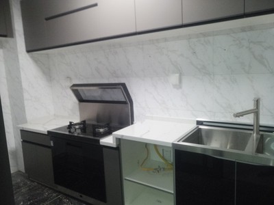 火星人C2集成水槽怎么样?看我真相使用心酸史！