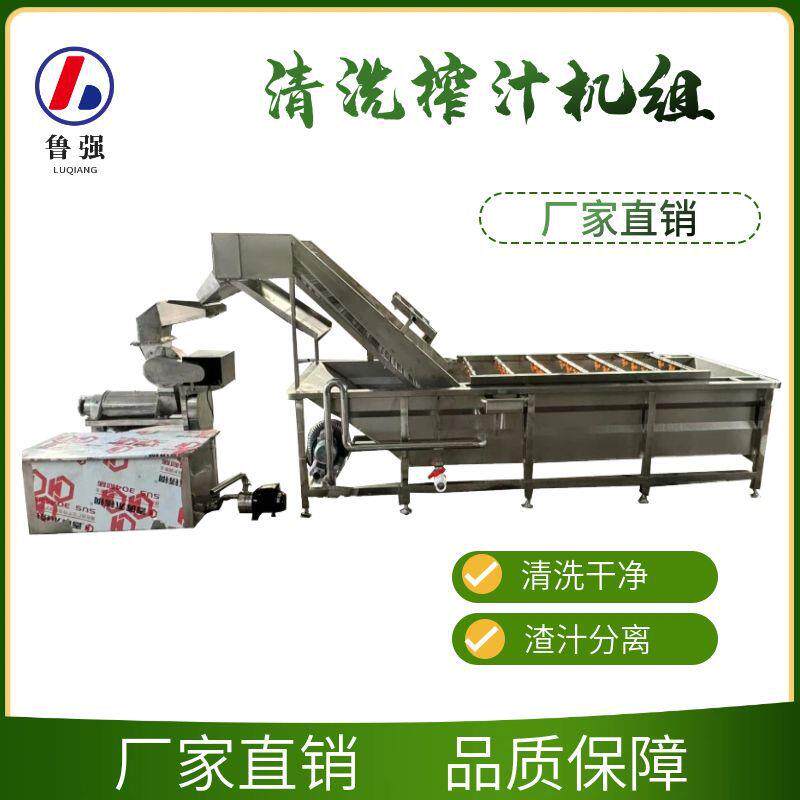 金桔破碎榨汁机蓝莓打浆榨汁机大型1.5吨粉碎榨汁机生产厂家