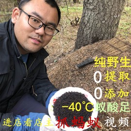 黑蚂蚁干中药500g野生蚂蚁养生干蚂蚁，泡酒可打粉