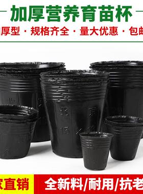 加厚营养钵育苗钵育苗杯育秧盆花盆营养杯大号黑色塑料一次性装土
