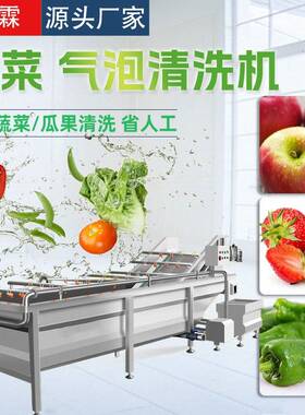 商用气泡清洗机食堂净菜加工成套设备全自动果蔬喷淋式清洗机