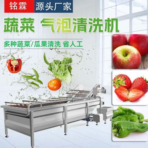 商用气泡清洗机食堂净菜加工成套设备全自动果蔬喷淋式清洗机