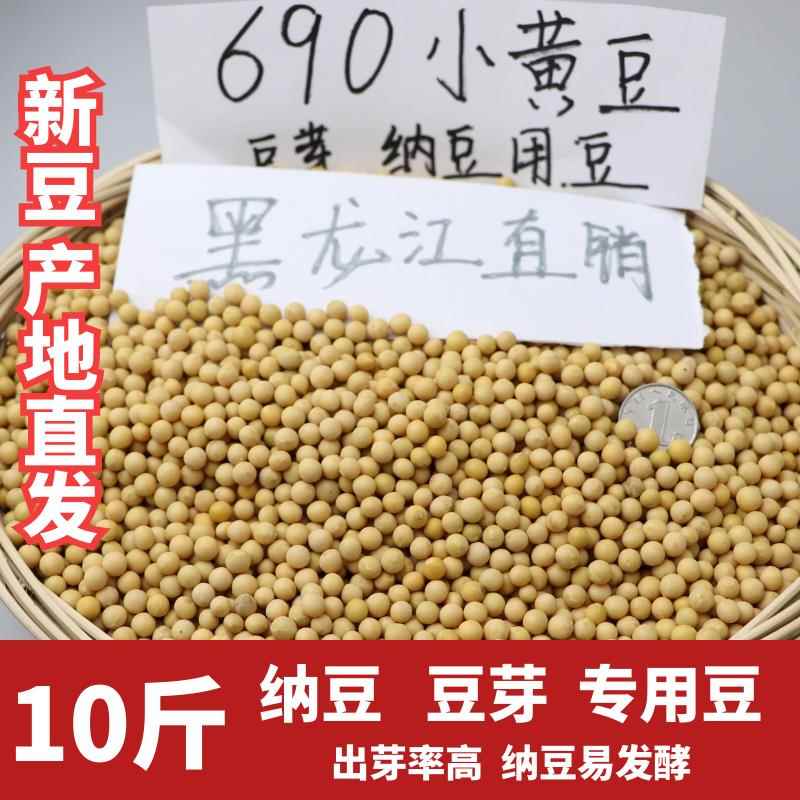 新粮非转基因小粒黄豆690生发豆芽纳豆专用黄豆浆10斤小黄金
