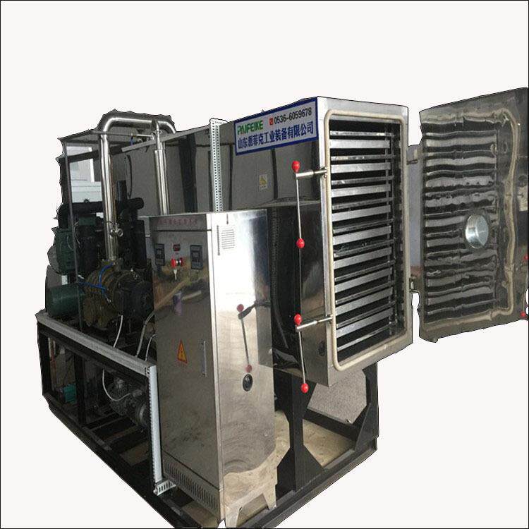 灵芝真空冷冻干燥机菠萝蜜真空冻干机的参数全自动真空冷冻设备