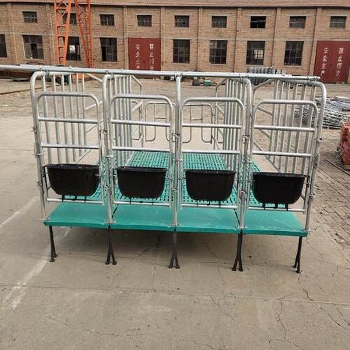 厂家定制热镀锌加厚猪围栏定位栏养殖场用母猪产床保育床限位栏