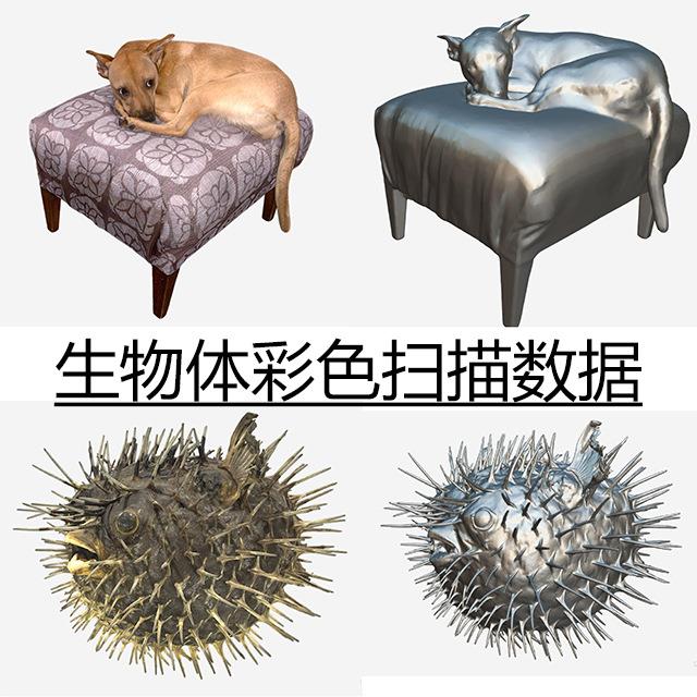 3d三维扫描服务 抄数逆向工业级高精度全自动彩色3D扫描服务