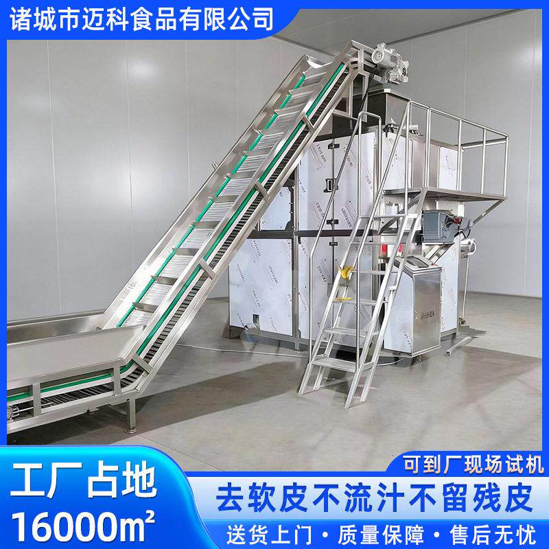 黄桃芋头西红柿蒸汽去皮机全自动葡萄头水果头加工线去皮设备