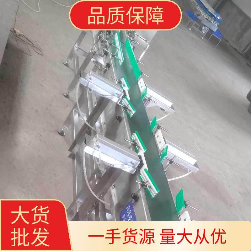 爱克森皮带式化工日化海鲜药材果蔬农副产品重量分拣分选设备