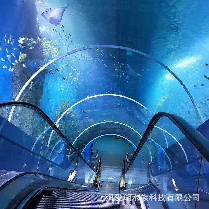 大型海底隧道设 海洋海 世界工程设计亚克力建洋水族馆鱼缸海洋水