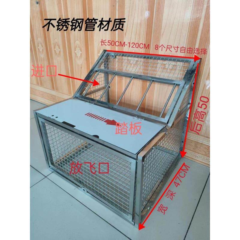 信鸽跳笼鸽子赛鸽用具鸽棚鸽舍只进不出拼装鸽舍放飞门一件