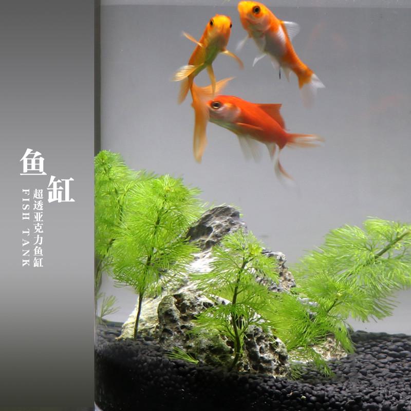 亚克力圆柱形金鱼缸客厅小型办公室圆桶鱼缸圆形乌龟缸家用缸批发