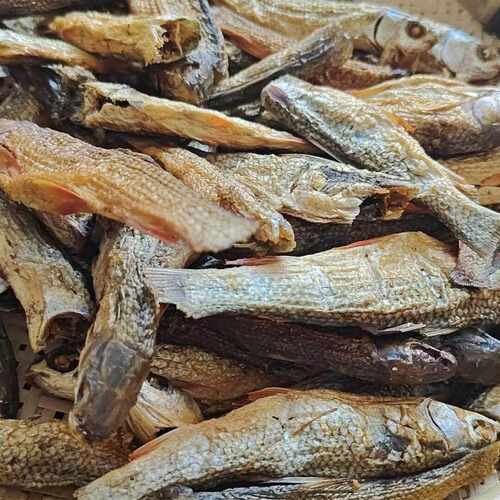 湖南湘西农家小黄鱼