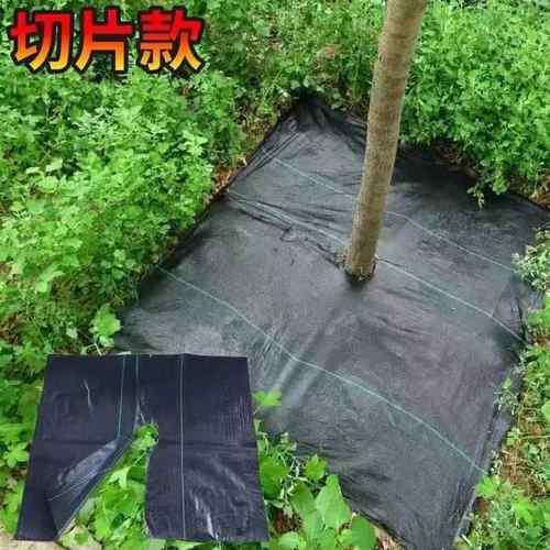 单张新型防草布除草布透气透水槟榔树果树农用地膜盖草布厂家直销