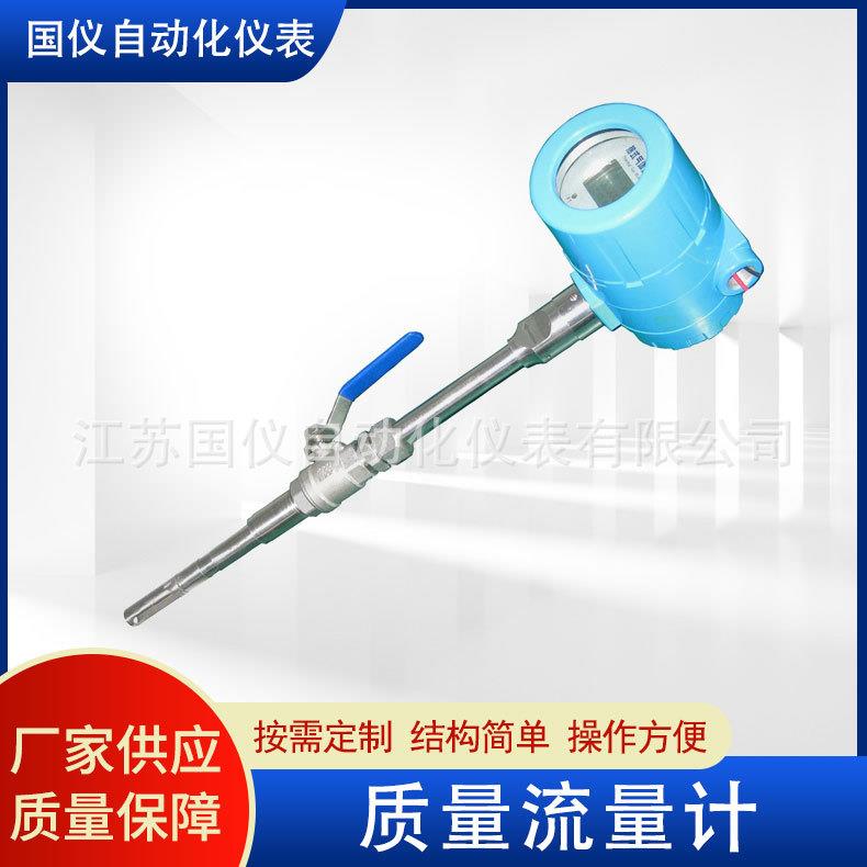 厂家供应质量流量计插入式数显气体氢气热式质量流量计
